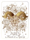 Vector illustration of zodiac signs in flowers. Aries Royalty Free Stock Photo